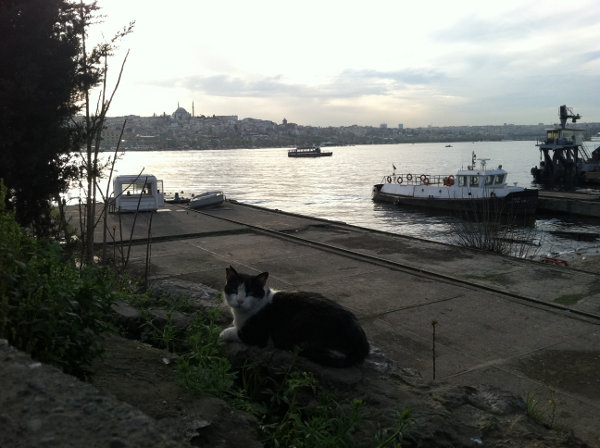 by the bosphorus